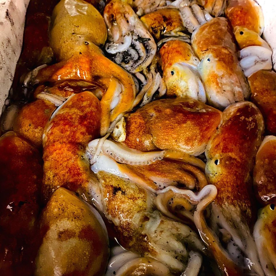 diego1 1 | Il meglio del Take Away – Cibo da asporto