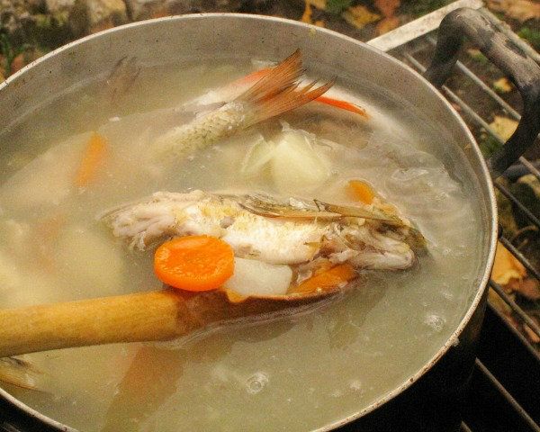 fumetto | Fumetto di pesce Fumetto