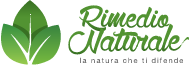 rimedionaturalelogo | Origano: pianta terapeutica che previene e cura rimedionaturalelogo | Origano: pianta terapeutica che previene e cura