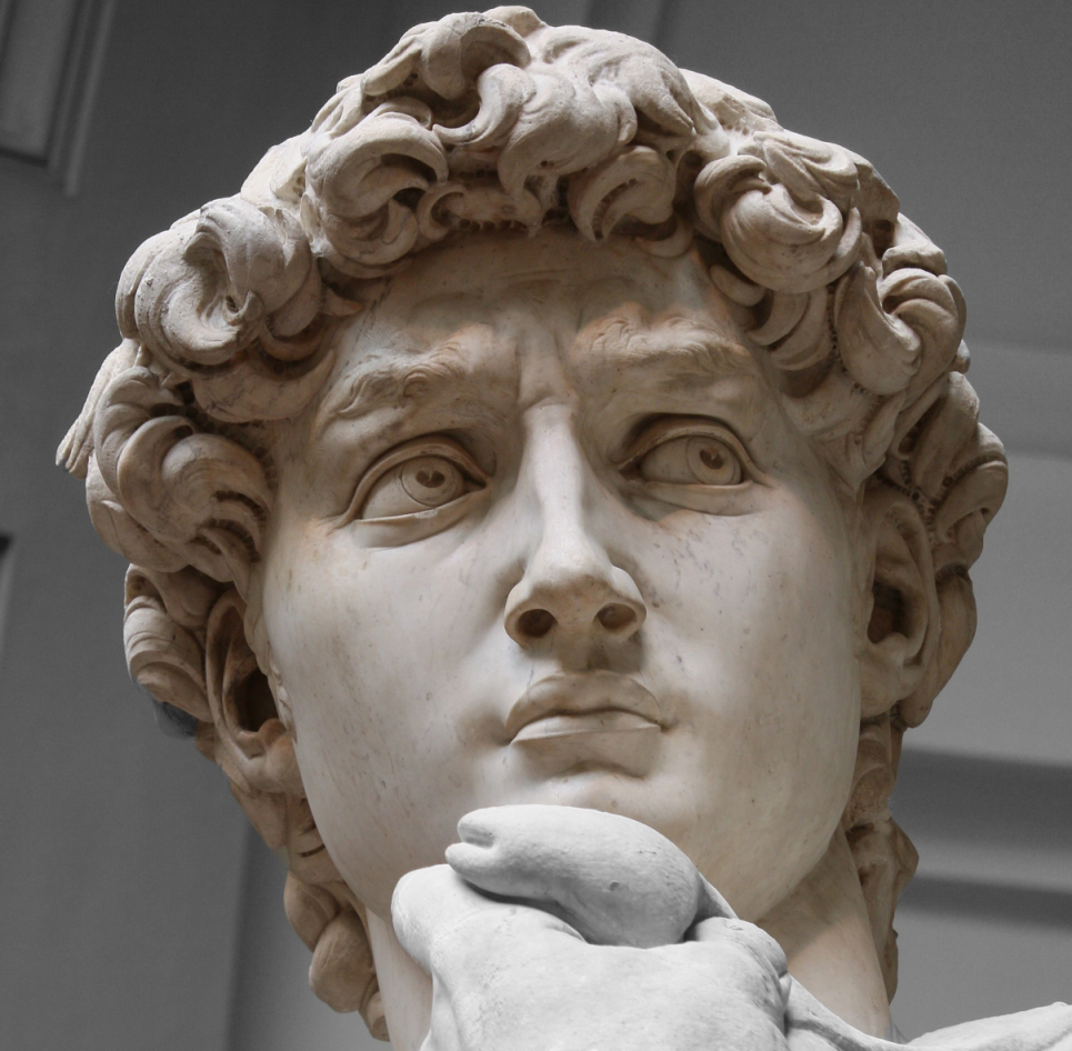 David di Michelangelo | FrosinonE' Arte