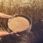 107356335 279371010163226 163781009432359418 n | Azienda Agricola Subiaco