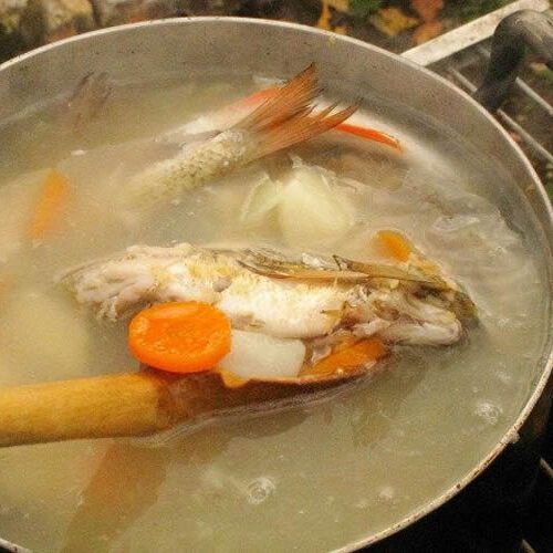 fumetto di pesce | Fumetto di pesce fumetto di pesce | Fumetto di pesce