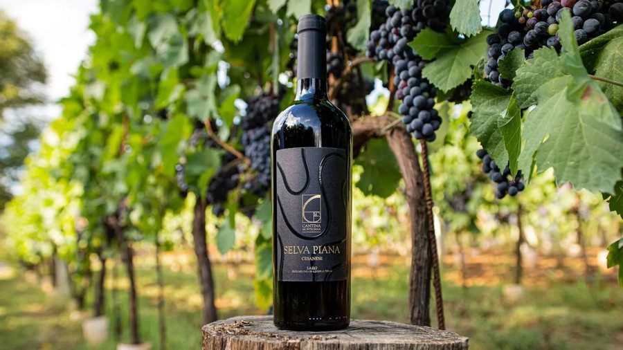 Featured image for “L’Importanza del vino naturale in Ciociaria”