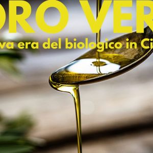 Frantoio Cerquozzi la nuova era del biologico in Ciociaria