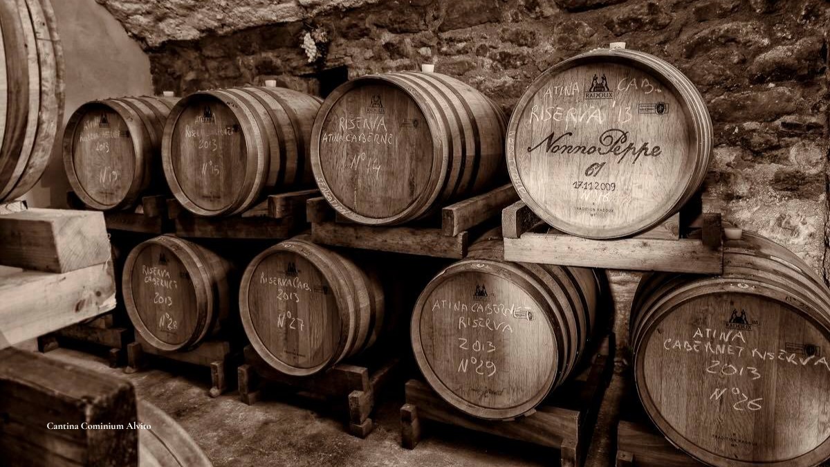 Cabernet di Atina DOC Cantina Cominium | Cabernet di Atina e Maturano: i gioielli della Valle di Comino (Seconda Puntata) Cabernet di Atina DOC - Cantina Cominium