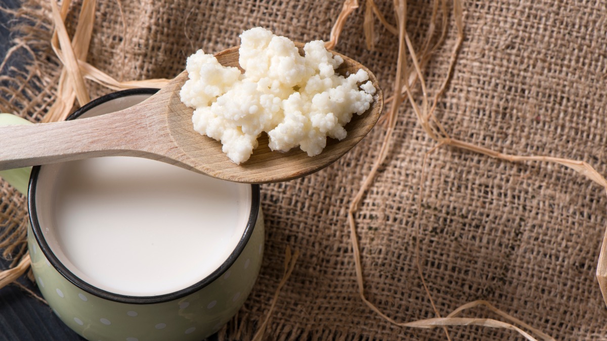 Lo yogurt e Kefir, come una volta