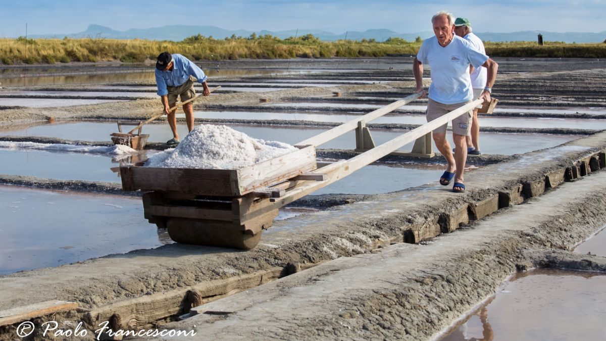 Sale di Cervia | Il ritorno dell'oro bianco: il Sale di Cervia risplende di nuovo Sale di Cervia