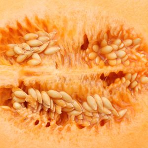 Latte di semi di melone by chef di ciociariacucina | Latte di semi di melone: la bevanda antispreco che sorprende Latte di semi di melone: la bevanda antispreco che sorprende