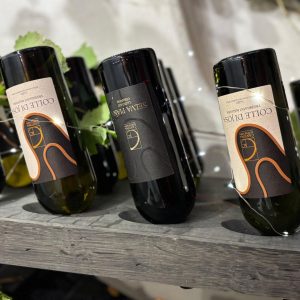 Cantina Monticiana la vendemmia che porta la Ciociaria nel mondo