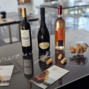Etichette vini giovanni terenzi