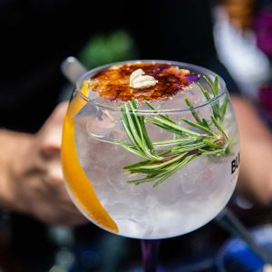 Gin Tonic lemon Sarandrea | Sarandrea - Liquoreria e Erboristeria