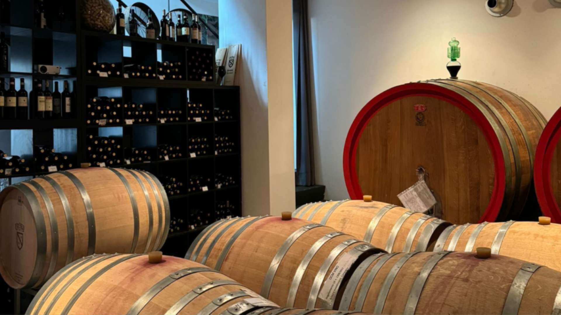 Cantina Giovanni Terenzi | Vini Giovanni Terenzi Cantina Giovanni Terenzi