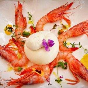 Crudo di gambero viola e burrata | Crudo di gambero viola e burrata Crudo di gambero viola e burrata
