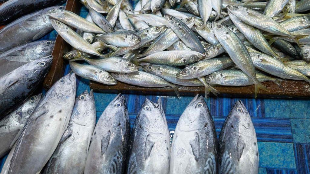 Pesce di giugno | Cibo di stagione di giugno: cosa portare davvero in tavola Pesce di giugno di C&C