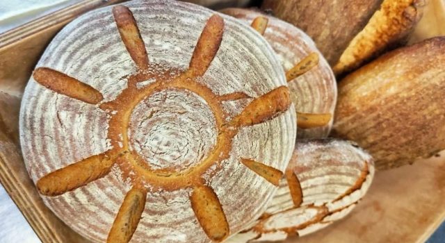 Grani antichi: dal campo al pane, una storia di territorio